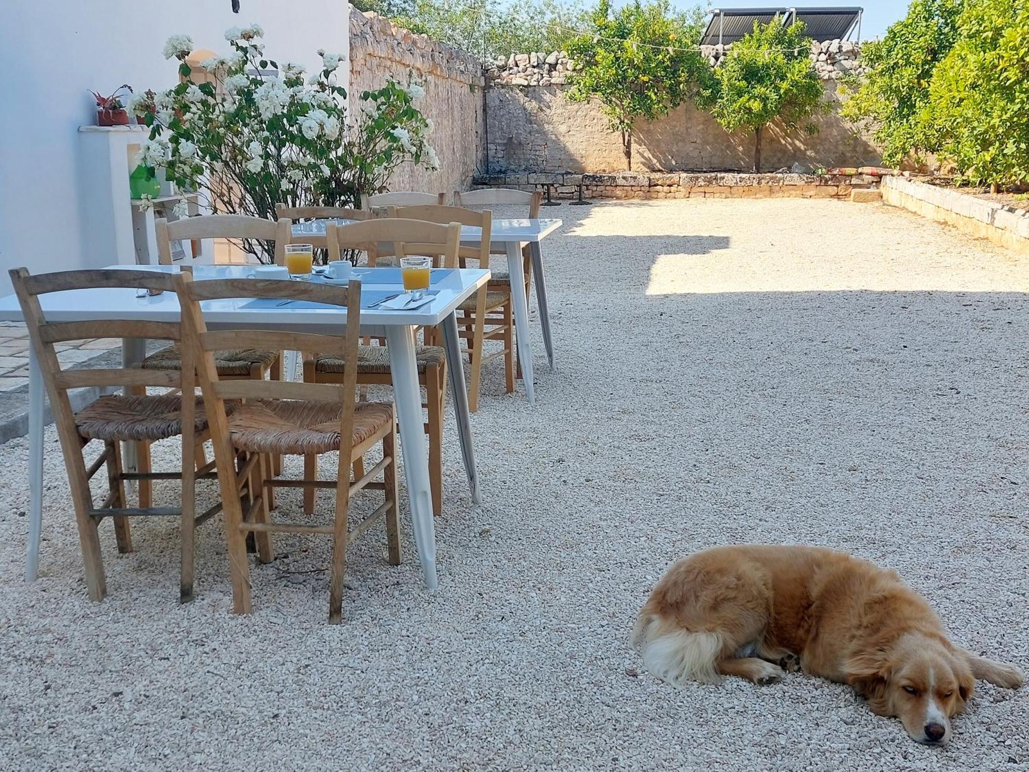 Masseria San Martino Polignano a Mare Exterior photo